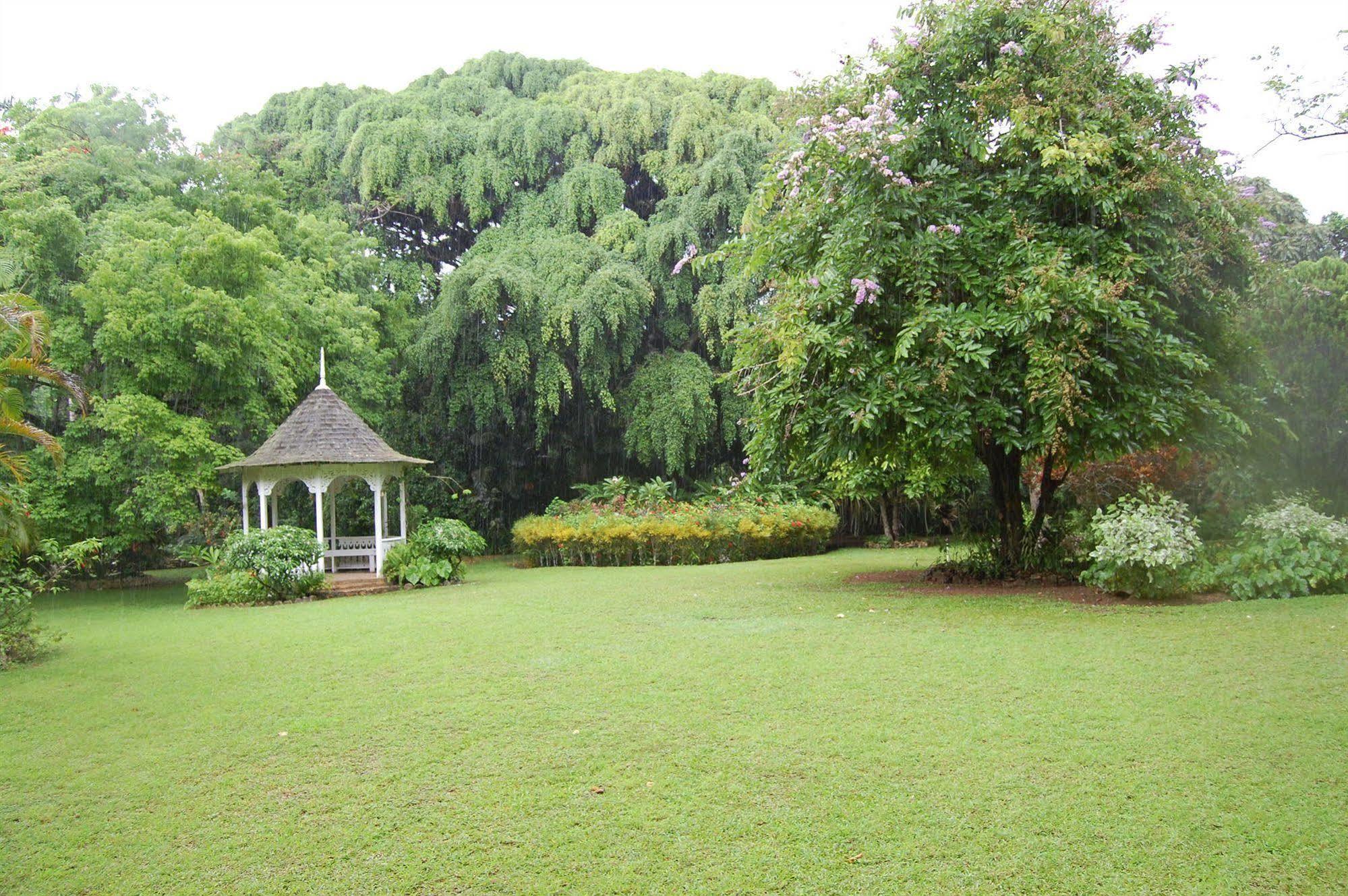 Inn At Shaw Park Gardens & Waterfalls 오쵸 리오스 외부 사진